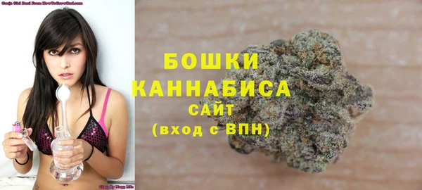 шишки Бронницы