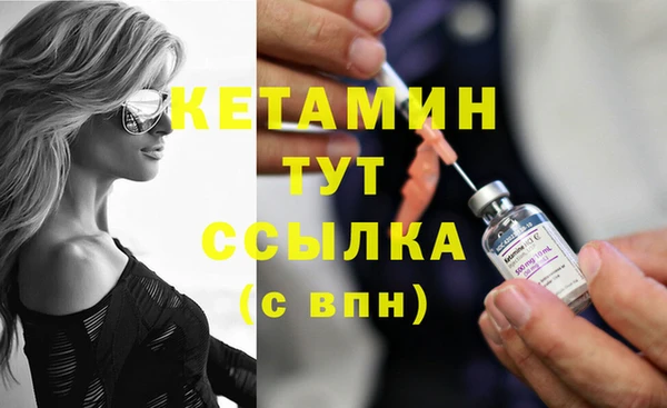 шишки Бронницы