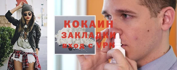 шишки Бронницы