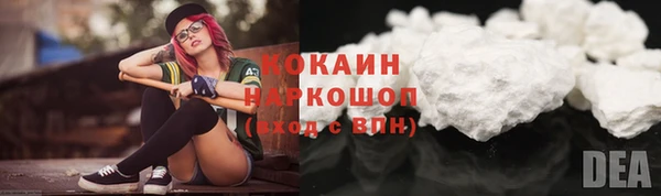 шишки Бронницы