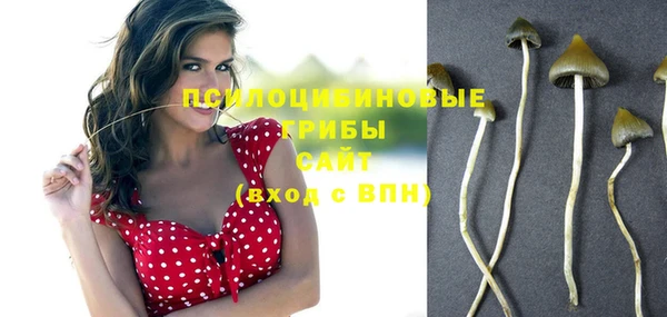 шишки Бронницы