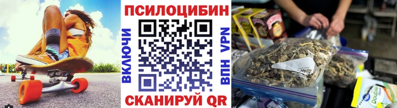 Псилоцибиновые грибы Psilocybine cubensis  Нижний Новгород 
